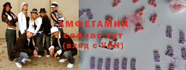 хмурый Магас