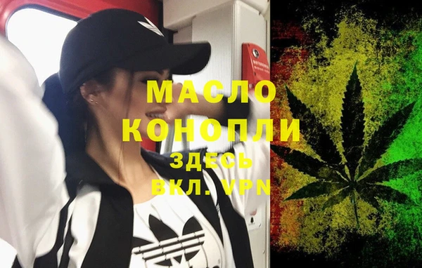 индика Медногорск
