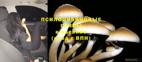 соль ск Мегион