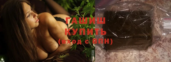 индика Медногорск