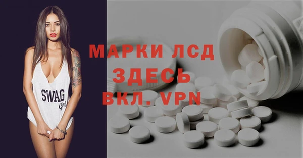 индика Медногорск