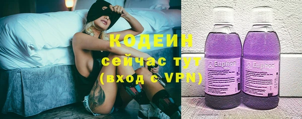 индика Медногорск