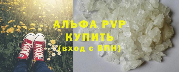 индика Медногорск