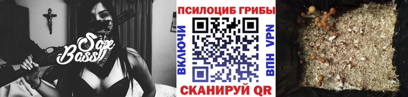 Галлюциногенные грибы ЛСД купить закладку Неман